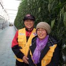 옥심농장 이미지