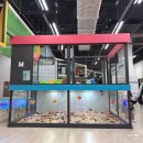 우지축산 | 지축 키즈카페 메가플레이 키즈파크 4세 아들과 함께 주말 방문 후기