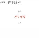 오렌지파크 이미지