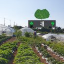 윤정농장 이미지