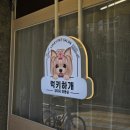 럭키하개 이미지