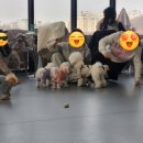 리앤드딩 이미지