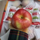 정영농장 이미지