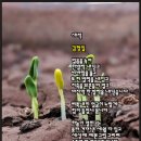 24'[계간3호 cafe_글벗] 시 / 김형일 [새싹]외 1편 이미지