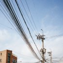 프로미자주카 이미지