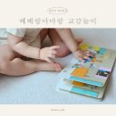책과 함께 몸놀이 마음놀이 | 베베랑마마랑 아기전집으로 아이와 소통하는 육아놀이법