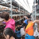 금율로 2 이미지