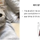 애경동물병원 이미지