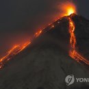 푸에고