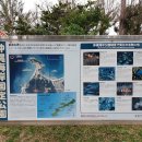 (2월17일) 일본 오키나와(부세나 해중공원 해중전망탑) 여행 1 이미지