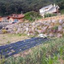 논산정화조