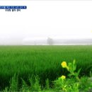 승우농장 이미지