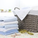 참크리닝세탁소 이미지