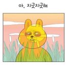 일상유틸