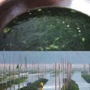 종갓집 꼬막회관 이미지