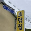 [경남 고성/통영 안정 맛집] 정갈한 산채비빔밥과 노란 유채꽃 산책 | '토담집' 내돈내산 후기