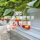 [당진 가볼만한곳] 상큼함이 팡팡! ‘딸기맨드류’ 체험 후기 (딸기 수확 & 컵케이크 만들기) 🍓