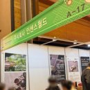 행복복내영농조합법인 | 2025 국제 차문화대전 | 코엑스 차 박람회 방문 후기