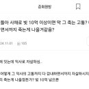 진짜 별 정병이 다 있네 익사자살 정병은 또 뭐임? 이미지