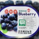 썬프레 Daum카페