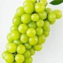 잠원동 주민센터 이미지