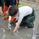 정생농장 이미지