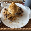 궁촌레일바이크펜션 | [삼척맛집] 레일바이크 타고 방문하기 좋은 삼척 카페 파로라 솔직후기!