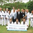 [학점은행제] 태권도영어 이미지