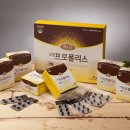 지오인터내셔널 이미지