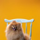 올바른 약국 이미지