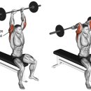 V10휘트니스 이미지