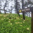 위도8경 위도해안도로 일주여행, 상사화축제 섬마을 들썩 (2일차) 이미지