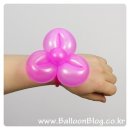 요술강아지 이미지