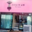 리리네 펫살롱 이미지