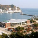 장승포체육공원 이미지