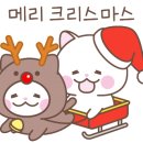 애견호텔중독