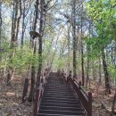 큰재봉공원 농구장 이미지