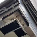 좌1동우체국 이미지