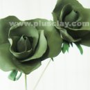 그린로즈 이미지