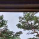 파파스브로트