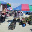 청양전통시장 이미지