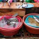 중앙전통시장 이미지