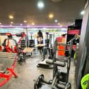 VGYM(브이짐) 이미지