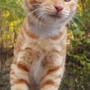 황금2동주민센터 이미지