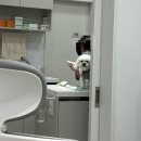 루원하이동물병원 이미지