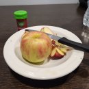 동교치안센터 화장실 | 샌프란시스코 출장 숙소 하얏트 하우스 벨몬트 호텔 위치 가격 조식 치안