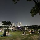 엘리시안퍼피 이미지