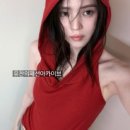 소플러(SOFLER)