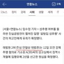 문통 페미라고 욕하고 굥 웅호하는 나무위키 이미지