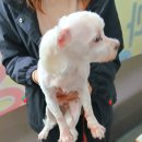 왕장5리 이미지